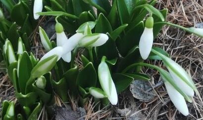 Im Rhythmus der Natur