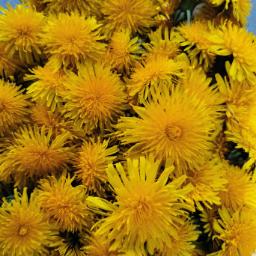 Frühlingstrend Entgiften / Entgiftung verstehen